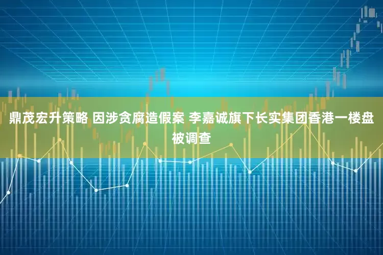 鼎茂宏升策略 因涉贪腐造假案 李嘉诚旗下长实集团香港一楼盘被调查