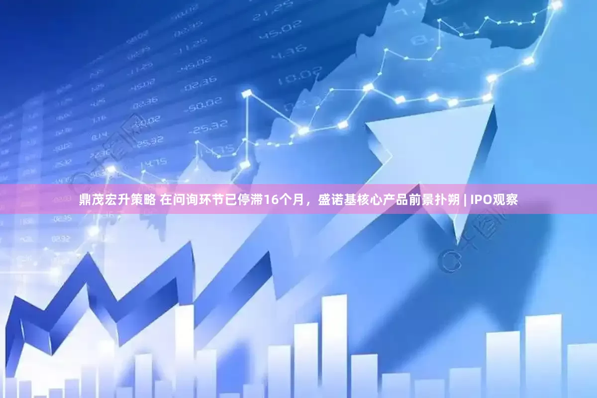 鼎茂宏升策略 在问询环节已停滞16个月，盛诺基核心产品前景扑朔 | IPO观察