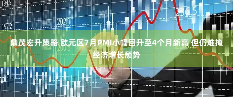 鼎茂宏升策略 欧元区7月PMI小幅回升至4个月新高 但仍难掩经济增长颓势