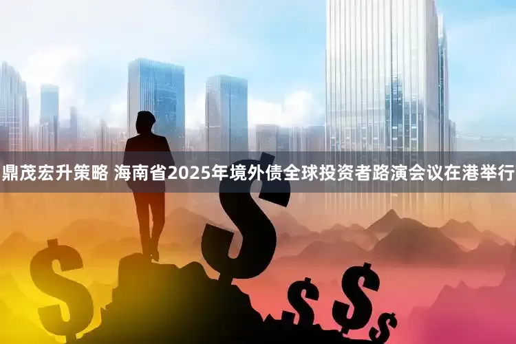 鼎茂宏升策略 海南省2025年境外债全球投资者路演会议在港举行